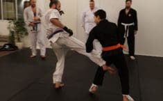 Karate der fungerer i praksis