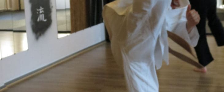 Karate - baglæns cirkelspark in action