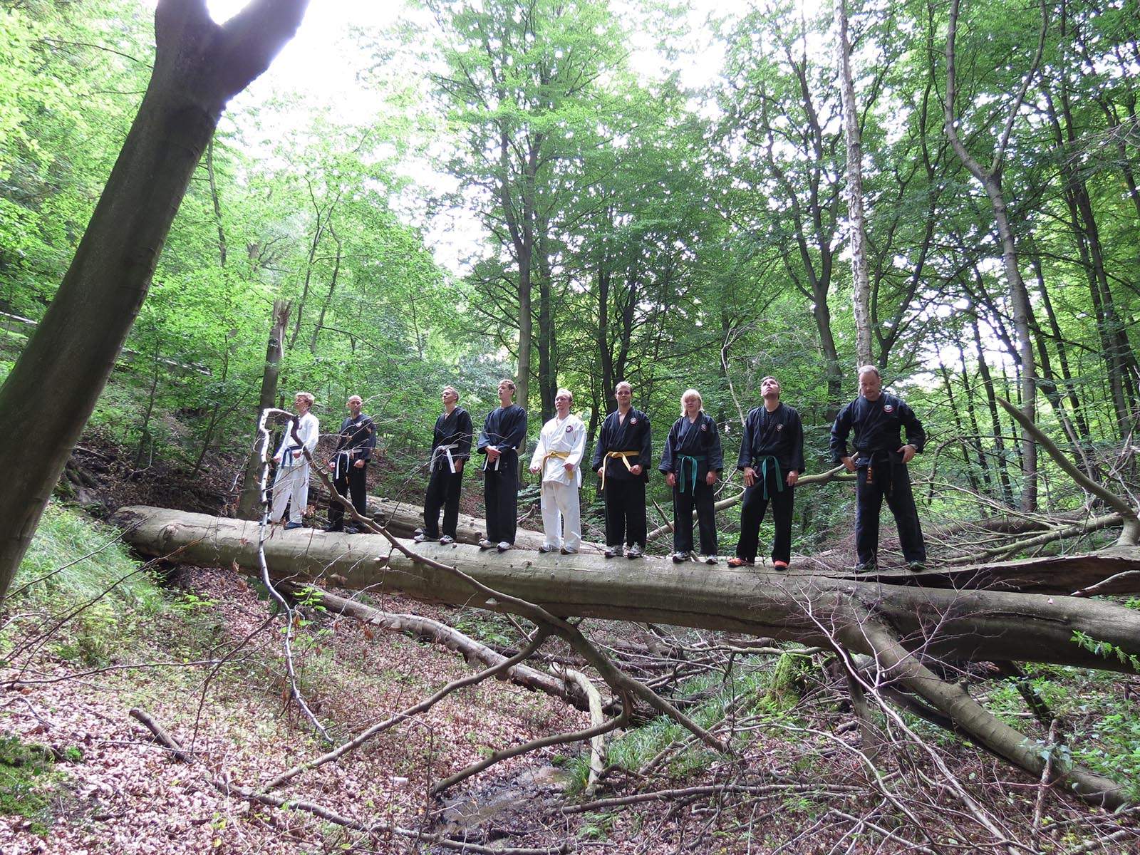 Efterårsdag i Helvede 2013 - kihon på en væltet træstamme