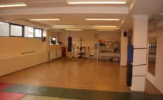 Dojo i de første år...