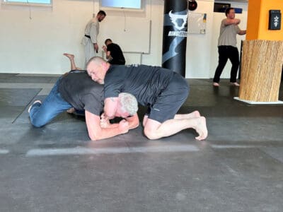 Nedtagninger og kontrol